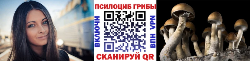 Галлюциногенные грибы MAGIC MUSHROOMS  Городец 
