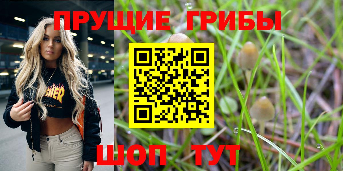 Городец  Галлюциногенные грибы GOLDEN TEACHER  Вход с VPN  Галлюциногенные грибы Psilocybine cubensis 