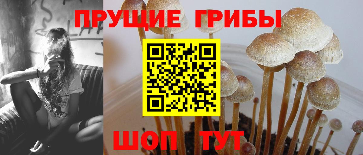 Кокаин  АМФЕТАМИН кристаллы  ГАШ  Метадон  Городец  Марихуана  MDMA  Гашиш  Мефедрон кристаллы  Вход с VPN  А ПВП СК кристаллы 